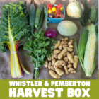 Fresh organic vegetables in a CSA harvest box from Ice Cap Organics farm in Pemberton, featuring seasonal produce delivered weekly to Whistler and Pemberton homes