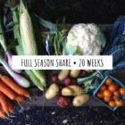 Overhead flat lay of fresh certified organic vegetables including corn, cauliflower, carrots, potatoes, green beans and cherry tomatoes from Ice Cap Organics in Pemberton BC