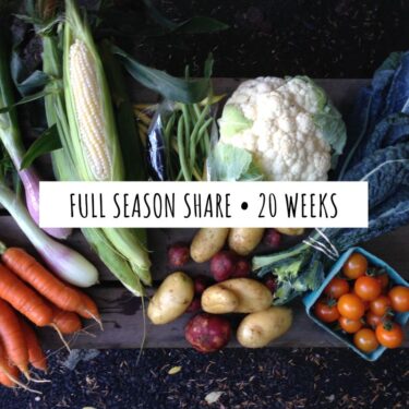 Overhead flat lay of fresh certified organic vegetables including corn, cauliflower, carrots, potatoes, green beans and cherry tomatoes from Ice Cap Organics in Pemberton BC