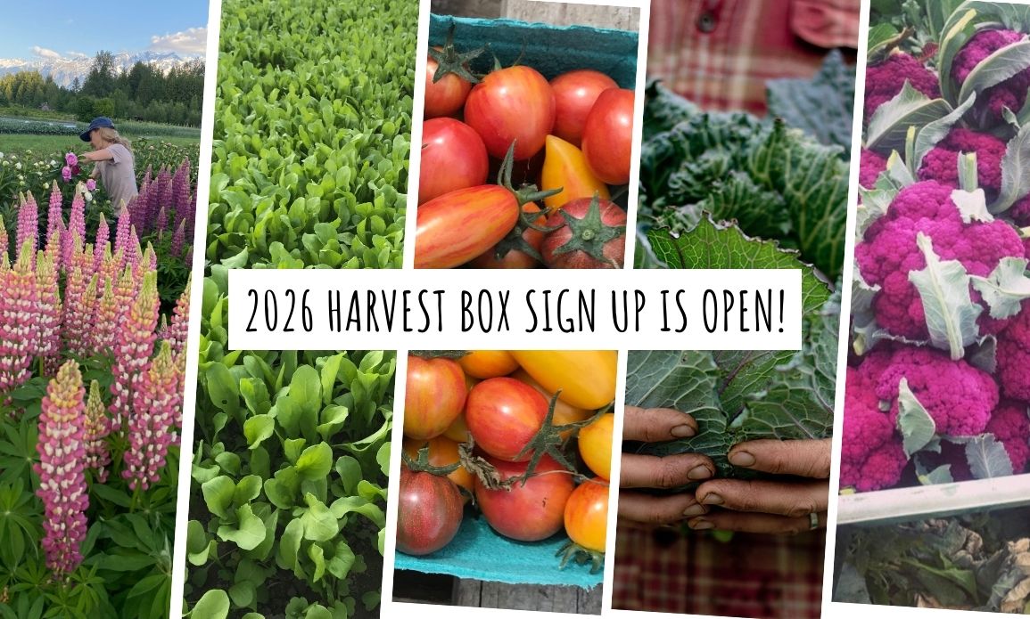 Collage of fresh organic vegetables and flowers from Ice Cap Organics farm in Pemberton BC, with text reading 2026 Harvest Box Sign Up Is Open