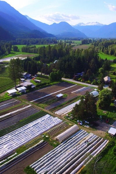 Aerial view of Ice Cap Organics certified organic vegetable farm in Pemberton Meadows BC, with crop rows, greenhouses, and the Pemberton Valley mountains in the background