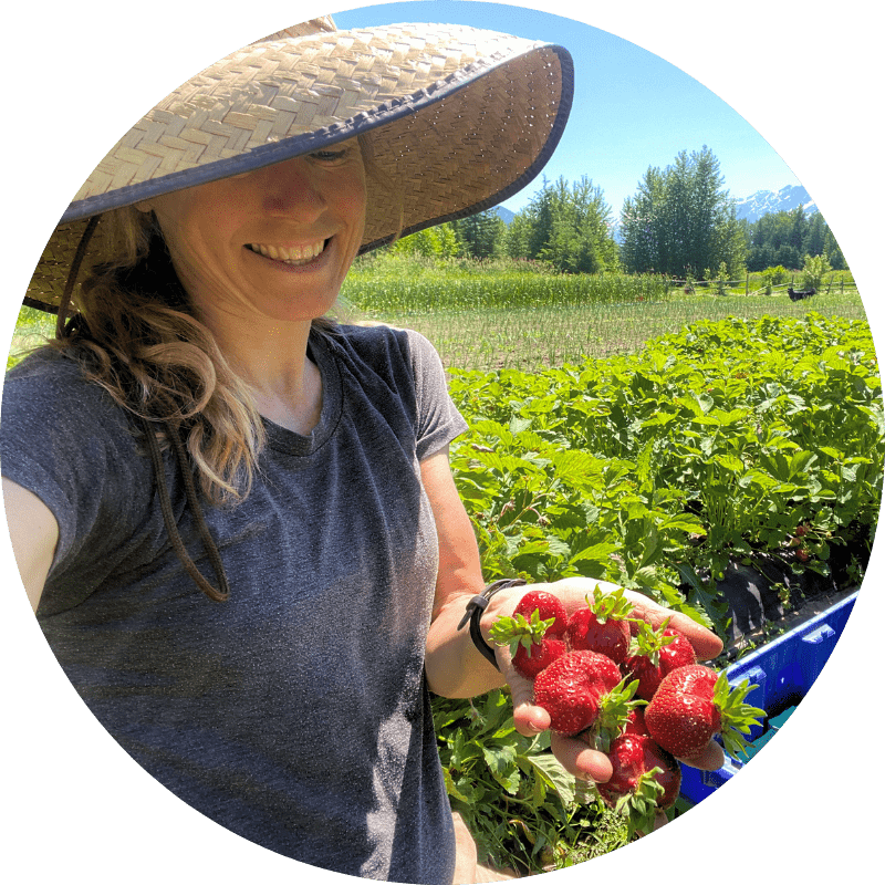 Alisha holding freshly picked organic strawberries in the strawberry field at Ice Cap Organics farm in Pemberton BC with mountains in the background
